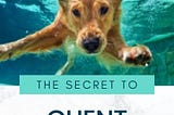 The Secret To Attracting Ideal Clients