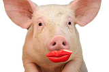 Picture of a pig wearing a lipstick