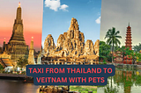 Traveling from Thailand to Vietnam with Your Pet through Cambodia: A Remarkable Journey with TAP…