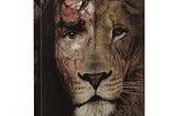 Jesus Lion Eyes Canvas