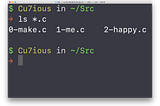 What happens when you enter “ls *.c” in your terminal