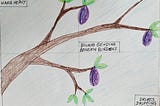 A hand drawn picture of a brown tree branch with green leaves and purple plums on it. The words of the below haiku are handwritten around it.