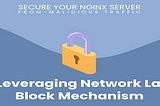 Secure Your Nginx Server From Malicious Traffics By Leveraging Network Layer Block Mechanism