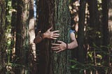 Person hugging tree — corporate social responsibility, sustainability, business, meditation, mindfulness, compassion, empathy