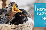 A nest with baby birds and one has its beak wide open. There is a blue rectangle with “How to Nest Lazy-Loaded Modules.”
