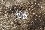 Embracing the Truth