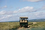 Top Safari Destinations