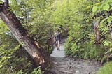 Take a Hike: Walking Seattle’s Best Parks