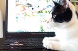 The profile of a cat sitting on an open laptop, looking straight ahead, seeming concentrated.