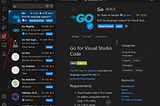 How to Setup Go in Visual Studio