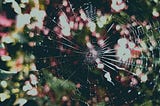 Mourning someone you haven’t lost
