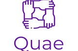 Investment Memo: Quae