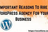 Important Reasons To Hire Wordpress Agency For Your Business