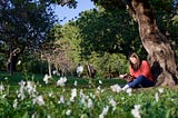 A woman in a glade of flowers, under a tree, reading, reading a book in the sunshine, Simon Dillon, Medium