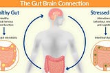 Stress and the gut