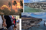 The Maui wildfires : Chaos created by fire or negligence?