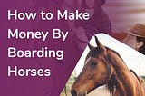 How-much-money-can-you-make-boarding-horse