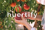 Huertify. Del huerto a tu casa