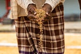 Two hands cupping grains