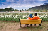 A Couple’s Guide to Kashmir Travel