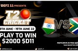 T-20 Matches on DeFi 11