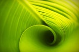Human Photosynthesis: the real source of ATP