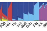 How to apply polygenic risk scores across diverse populations