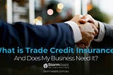 What is Trade Credit Insurance? And Does My Business Need It?
