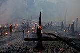 Attend to your forests, lest they burn
