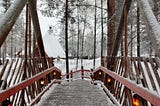 Winter Wonderland in Rovaniemi