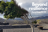 What lies beyond resilience