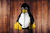 The Linux Operating System (Part 2)