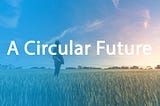 The Circular Economy: A Quick Guide| Founder of Zerowaste.ie & Rezero, David Weitbrecht