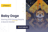 Baby Doge: Starting 2022 Strong Despite A Bearish Market