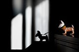 A La Catrina sculpture dog and it’s shadow symbolizes dark and light.