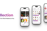 ReCollection — A UX Case Study