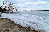 Frozen lake with a fallen tree and a city in the background