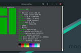 Screenshot of Manjaro desktop with system configuration in terminal