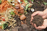 Trash Talk #10: The Dirt on Composting