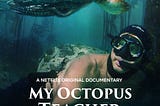 A lesson from the documentary: My octopus teacher