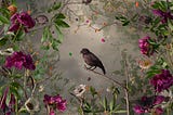 Perfecting the imperfections of nature with Jason DeMarte