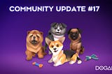 DOGAMÍ Community Update #17