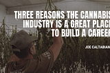 Three Reasons the Cannabis Industry is a Great Place to Build a Career