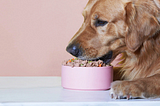 Qualità del Pet Food per gli Amici a Quattro Zampe