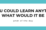 pndr: if I could learn anything what would it be?