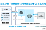 Introducing the Numenta Platform for Intelligent Computing