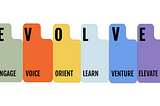 EVOLVE Framework— Sample implementation in the corporate setup