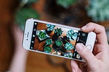 Building a more trustworthy plant care app through community connection — a UX case study