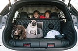 Innovation on Wheels: the CleverPet Hub meets the Nissan X-Trail 4Dogs