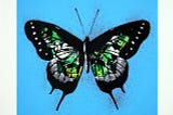 Fluttering Wonders: The Mesmerising World of Butterflies in Art
